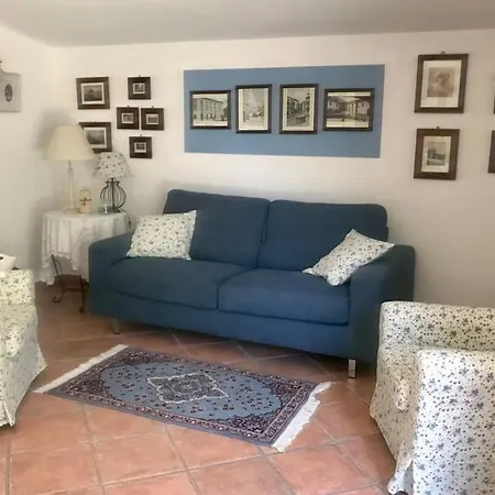 Dotty's House