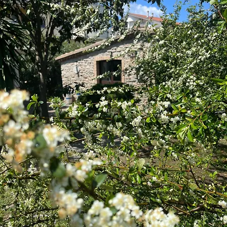 Dotty's House *