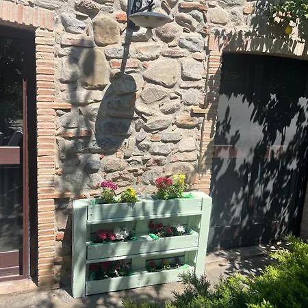 Dotty's House