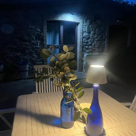 Apartament Dotty's House *